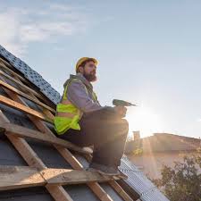 Best Roof Moss and Algae Removal  in Apollo Beach, FL